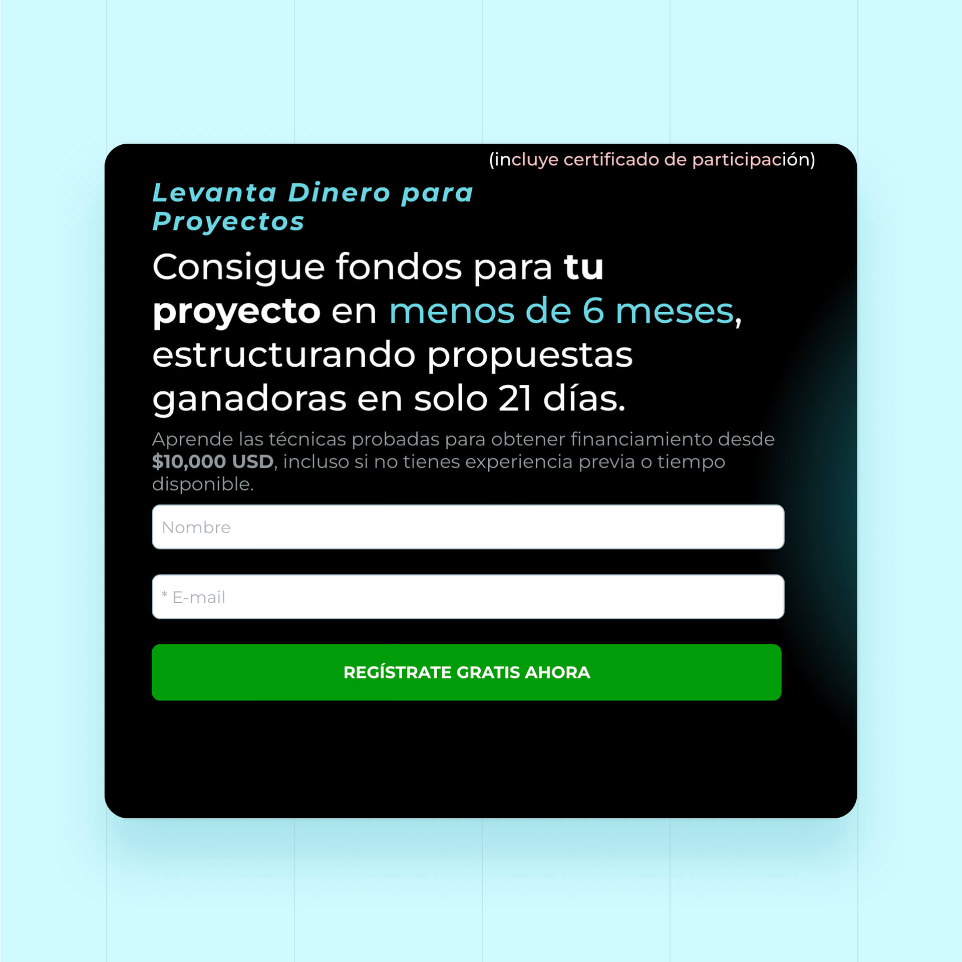  Cluttered Lead Capture Form